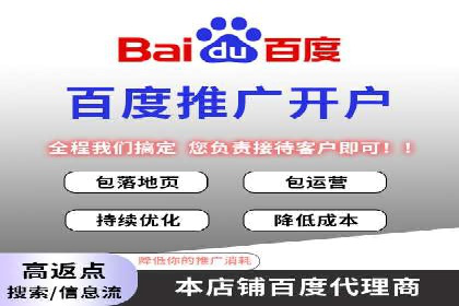 百度竞价广告的投放策略与成功案例分析